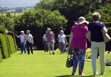 Acerca de TENY Grass